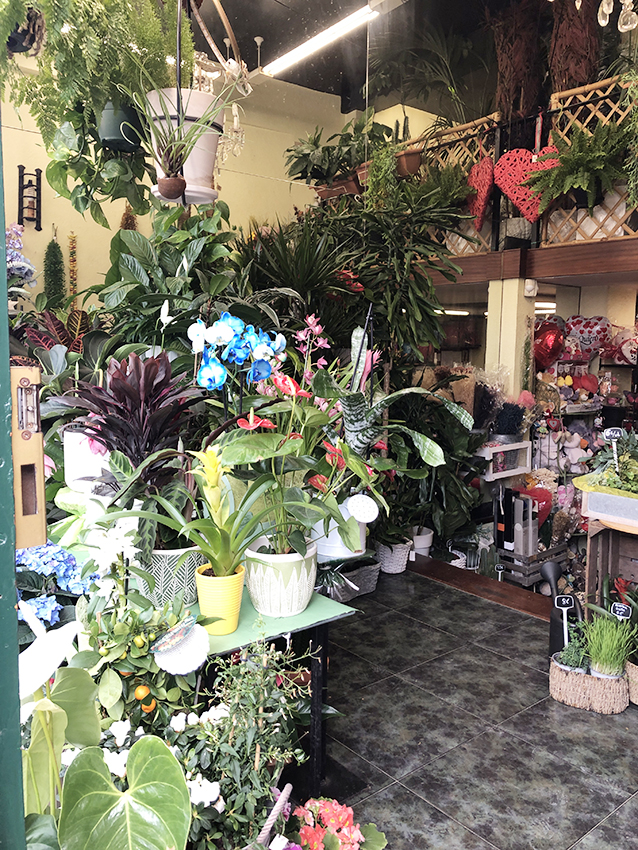 Tiendas de flores de Bilbao como Bilbao Gandarias