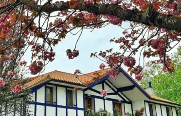 blog-grid-1-410x308